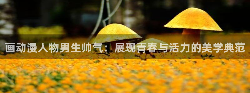 囧次元动漫官网入口观看：画动漫人物男生帅气：展现青春与活力的美学典范